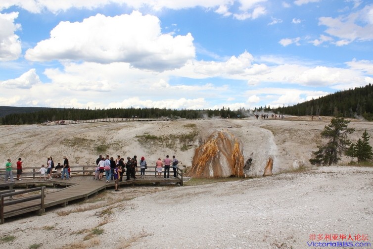 yellowstone 603.JPG